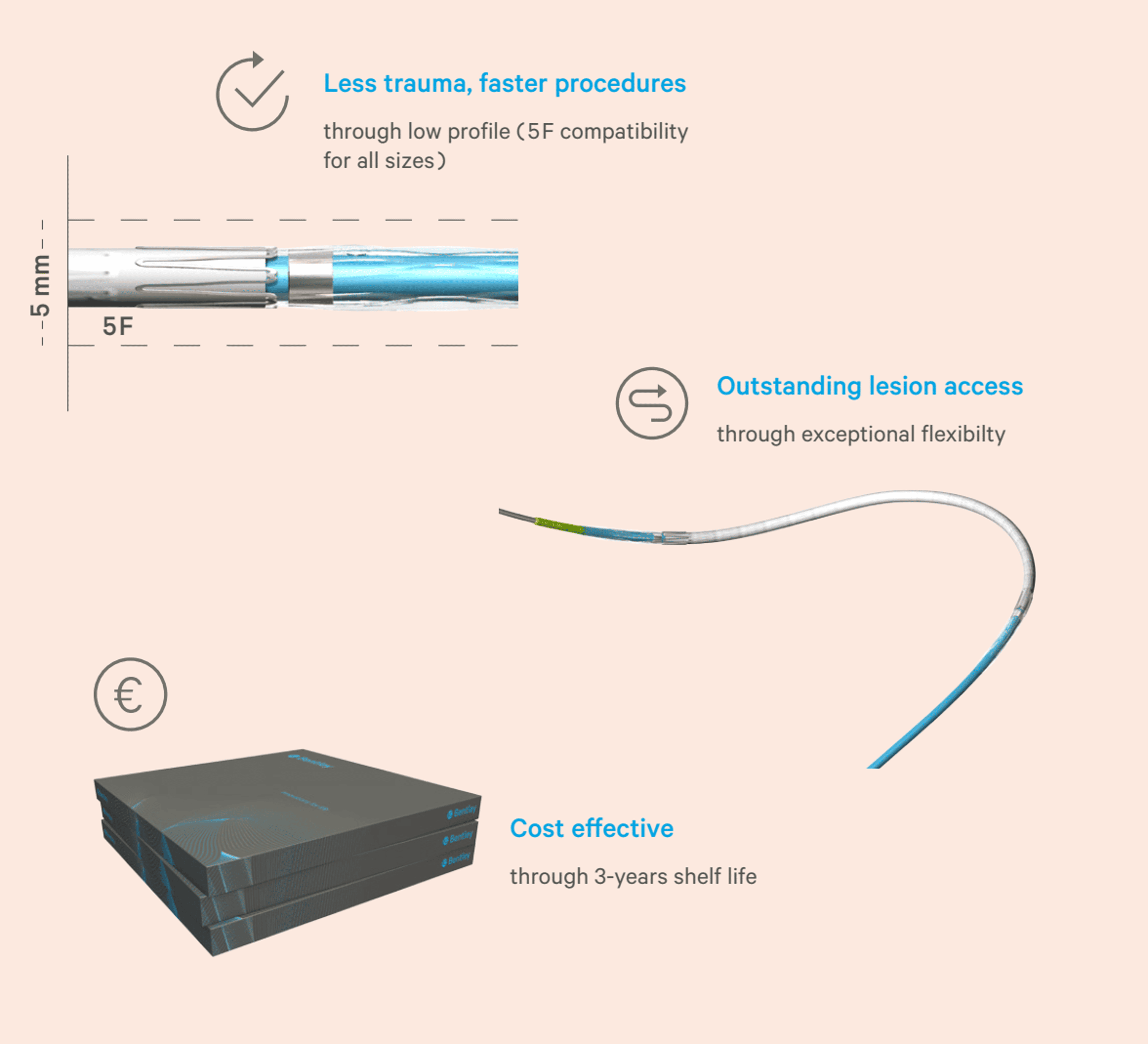 Infografia BeGraft™ Coronary
